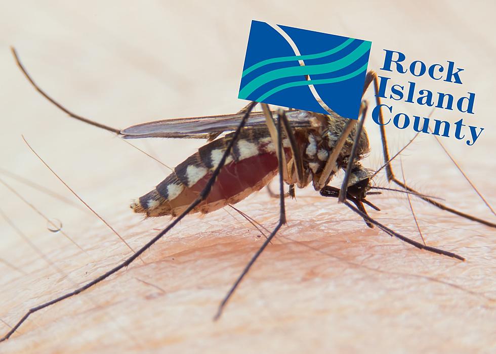 Rock Island County Mosquitoes Test Positive For West Nile Virus