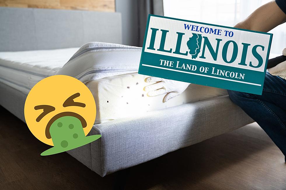 Illinois Has 3 Of The Most Bed Bug Infested Cities In The U.S.