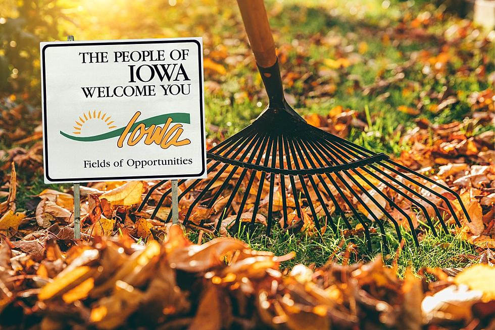 Get Rid Of Your Leaves And Grass For Free In Eastern Iowa