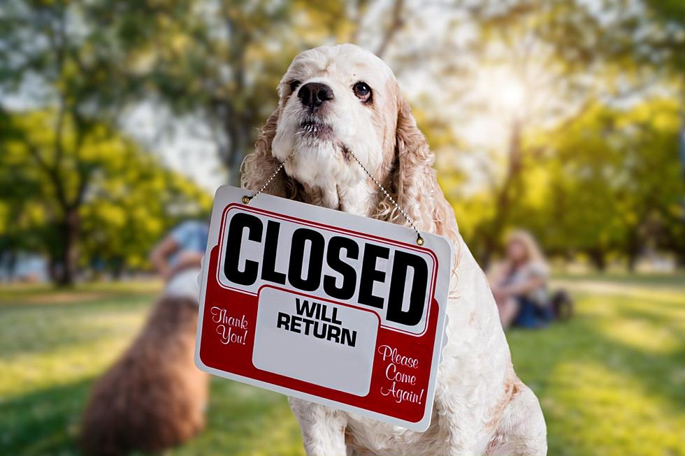 All Davenport Dog Parks Closed To Prevent Dog Disease