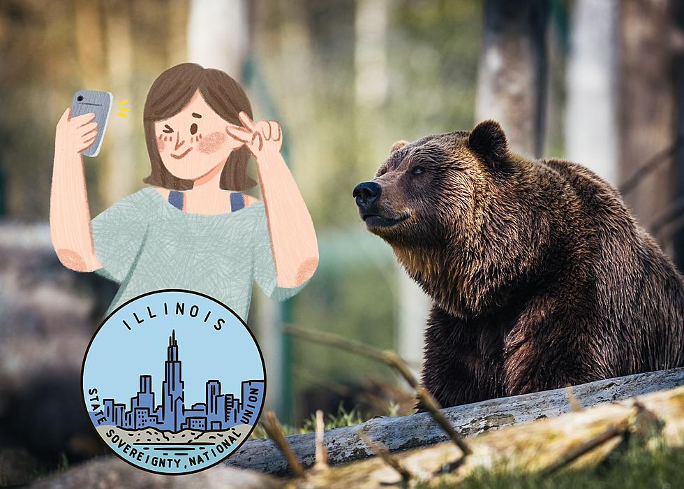 Weird New Illinois Law Forbids Your Selfie With A Bear