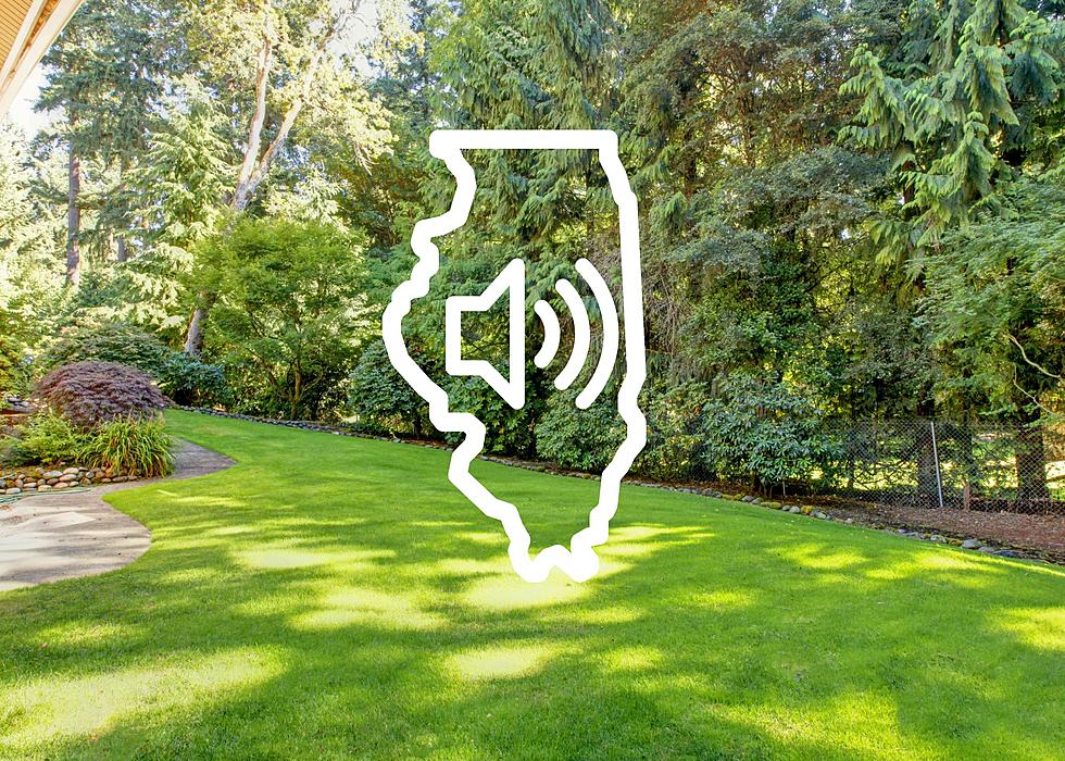 Illinois, Listen For This Tiny Bark Sound In Your Yard Next Month