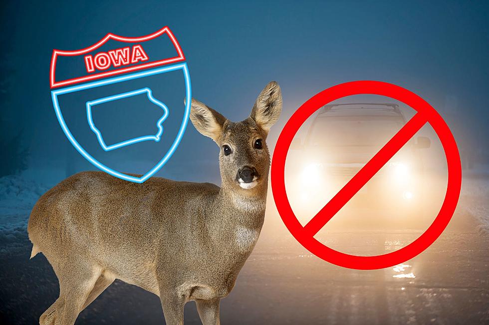 Iowa, It’s Illegal To Warn Other Drivers About Deer On The Road