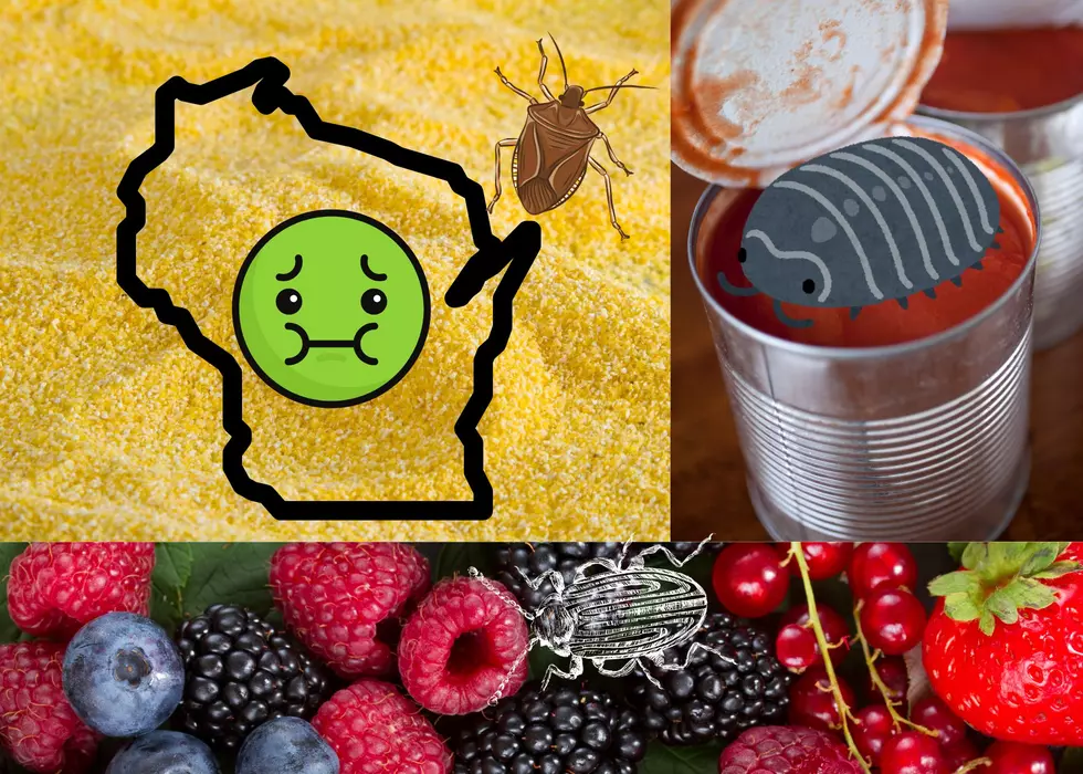 You Won&#8217;t Believe How Many Bugs Are Legally Allowed In Your Food In Wisconsin