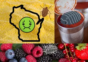 You Won’t Believe How Many Bugs Are Legally Allowed In Your Food In Wisconsin