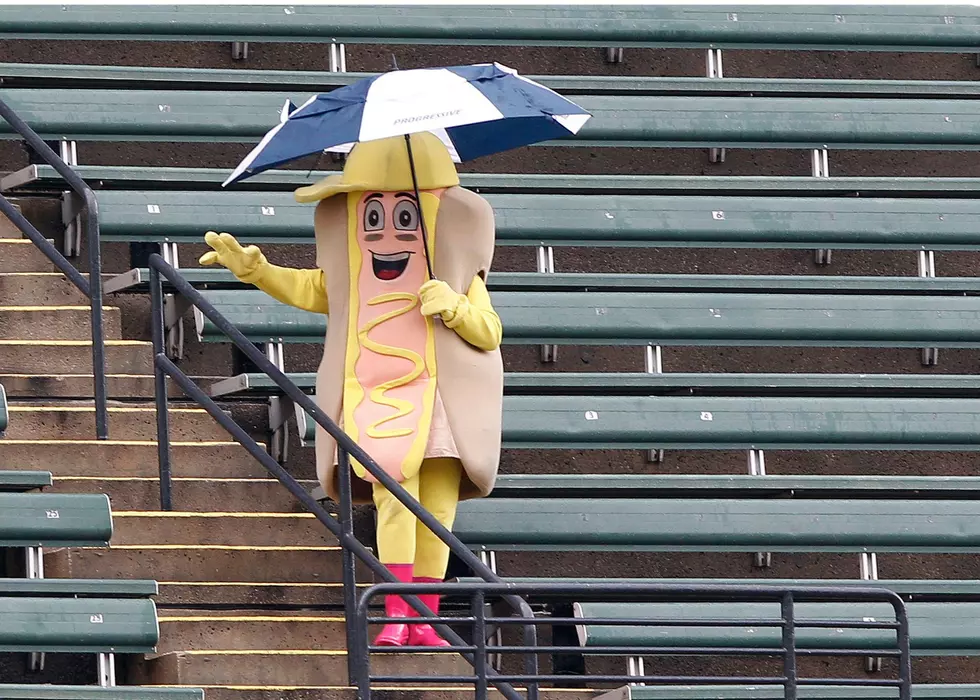 Illinois Baseball Team To Drop Thousands Of Hot Dogs From Sky In World Record Attempt