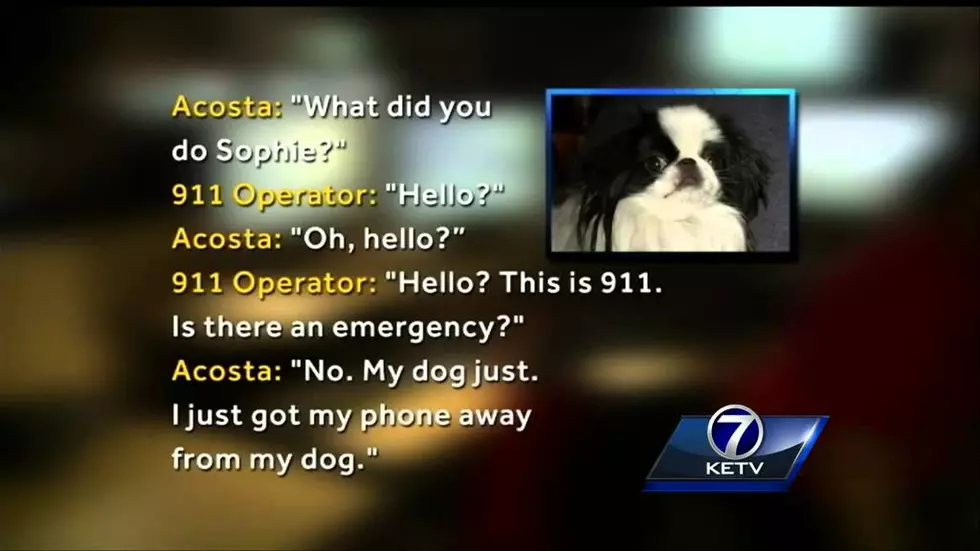 Listen to this emergency call dialed by a dog. [VIDEO]