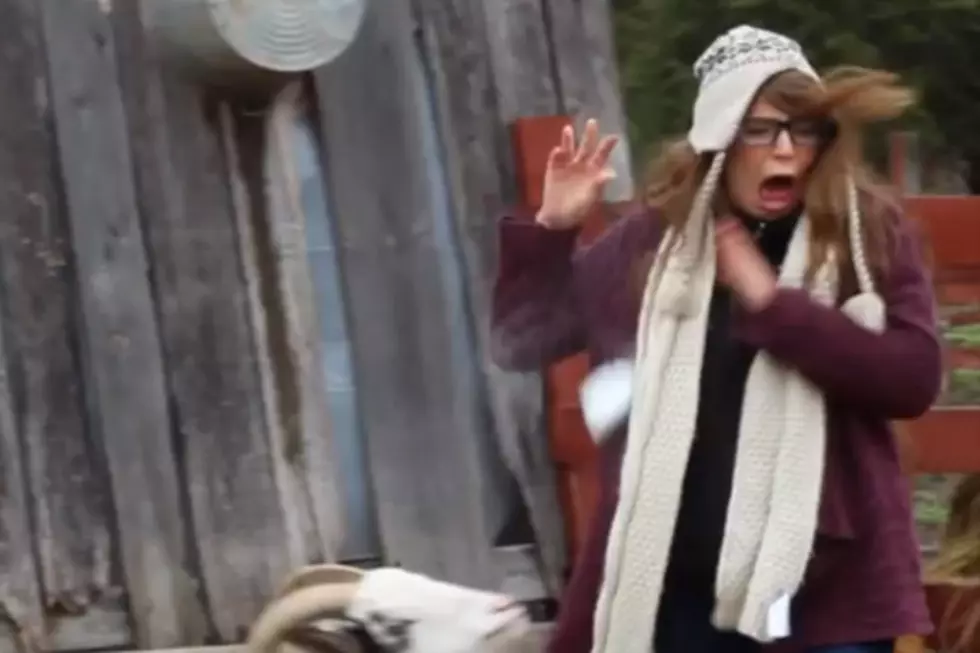 Goats are Terrifying to Hipsters