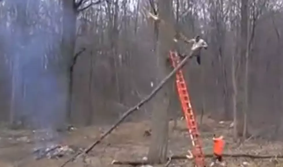 Tree VS. Lumberjack