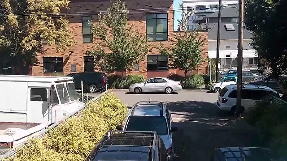 Woman Tries to Parallel Park in an Enormous Parking Spot and Fails
