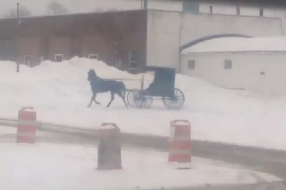 Amish Buggy Caught Doing Donuts in the Snow