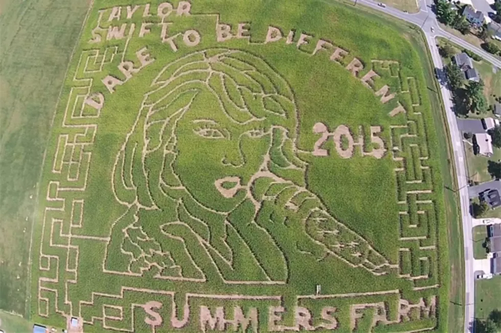 Corn Maze Allows You to Literally Get Lost in Taylor Swift&#8217;s Eyes