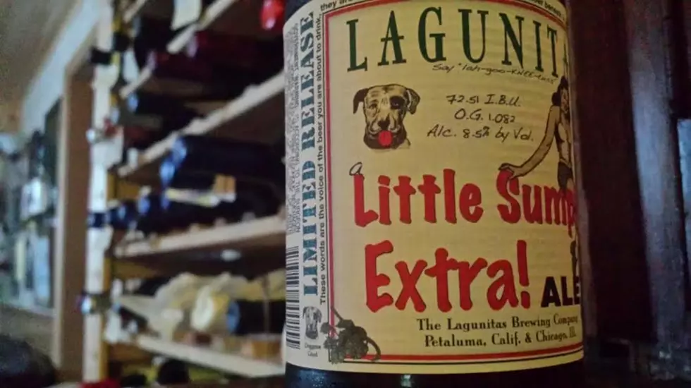 Lagunitas Little Sumpin&#8217; Extra; Around The World In 50 Beers