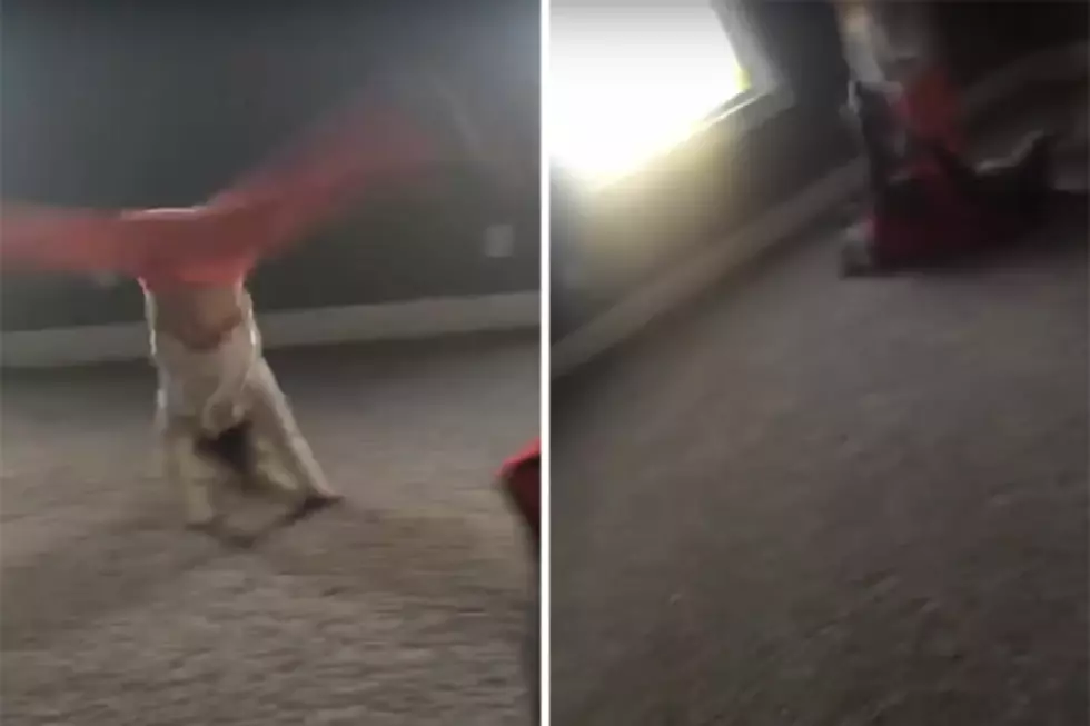 Dog Imitates Toddler Doing Cartwheels