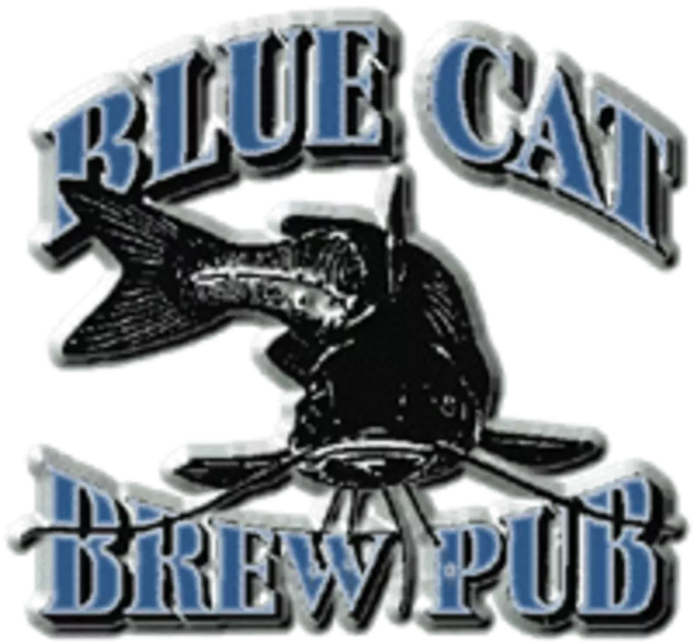 QC on Tap: Spotlight on Blue Cat Brew Pub