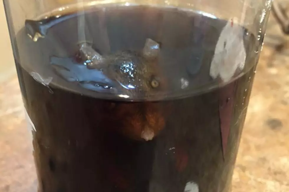 Family Finds Rat in Bottle of Soda After Drinking Half of It