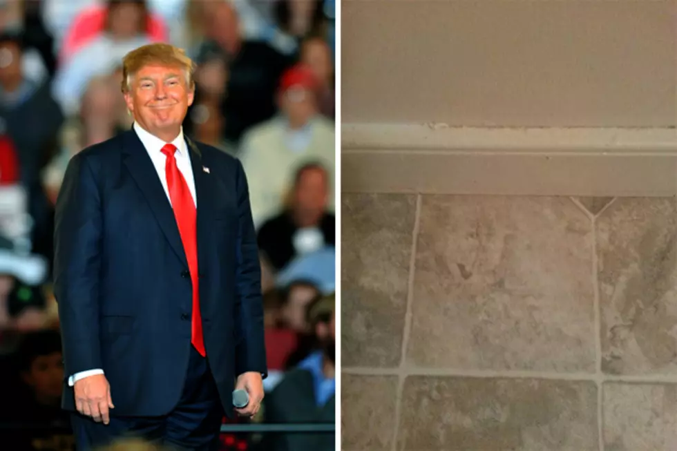 Virginia Man Sees Donald Trump in His Bathroom Tile