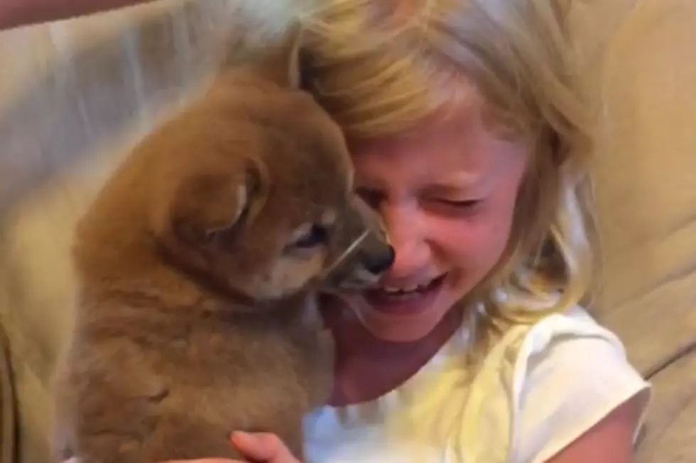 Girl Getting a Puppy for Her Birthday Will Warm Your Heart