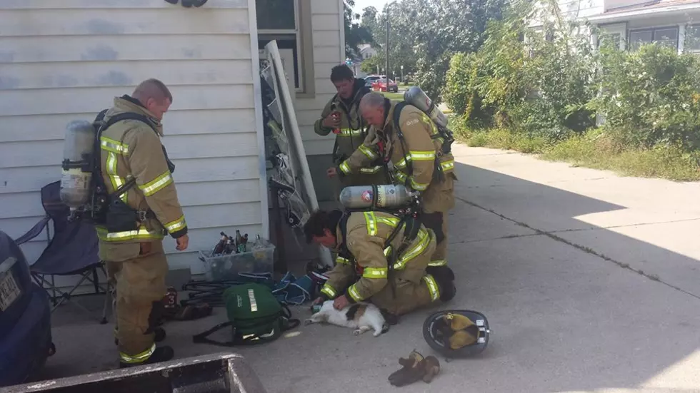 Video Shows Ames Fire Fighter Saving House Cat