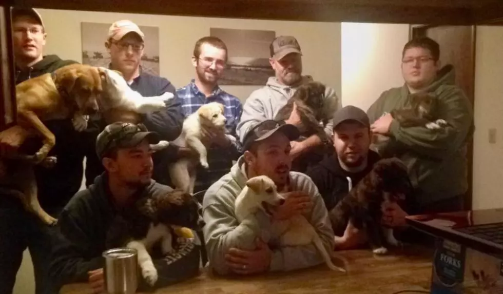 Bachelor Party Found Stray Dog with Seven Puppies and Adopted Them All