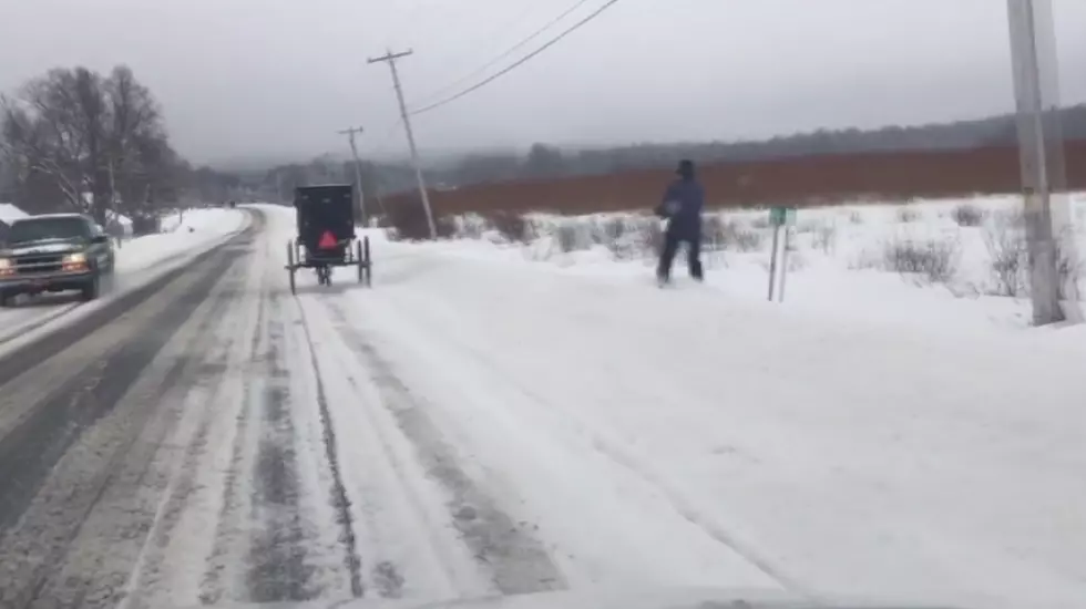 Amish Buggy Skiing Should Be The Next Extreme Sport