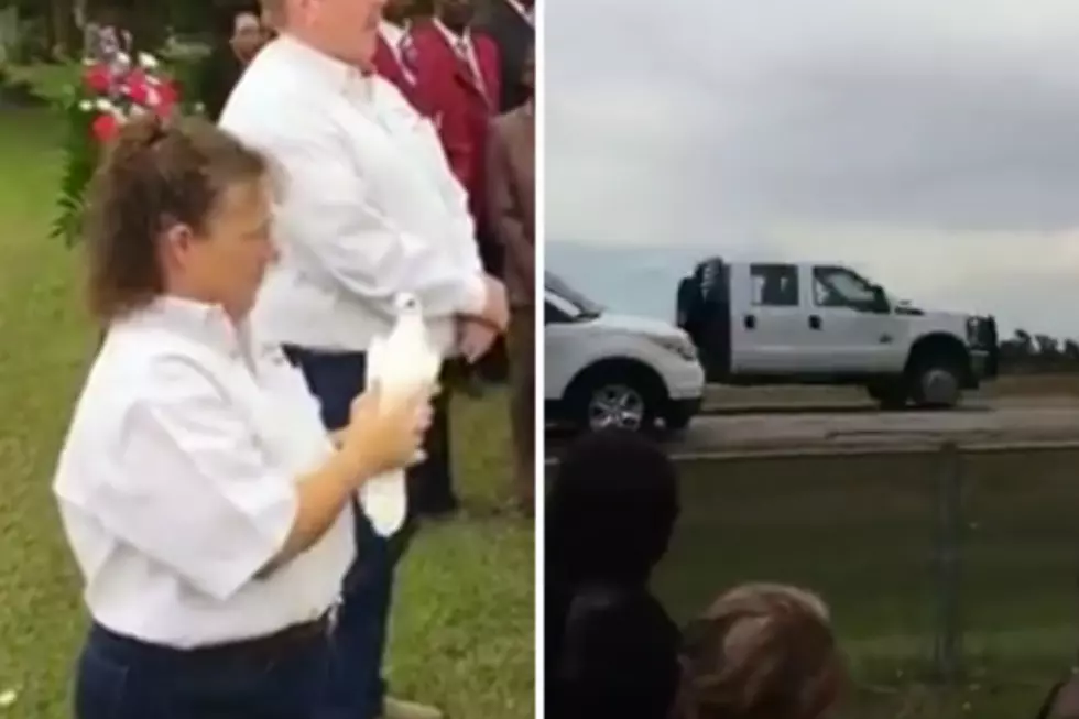 Dove Released at Funeral Promptly Gets Hit by Truck