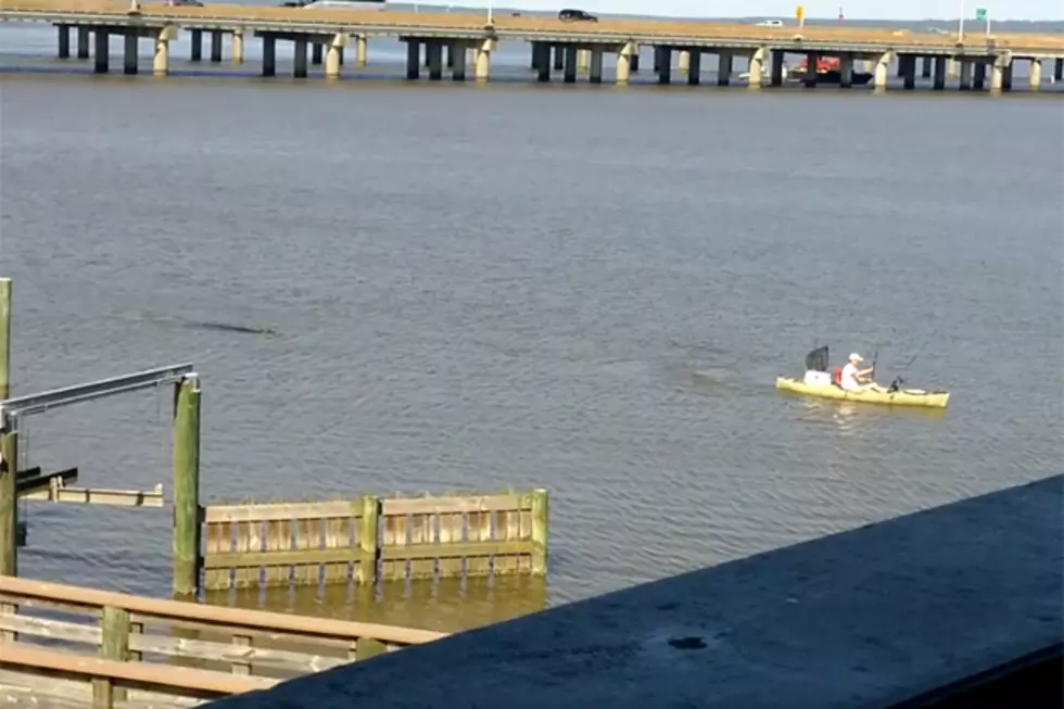 Alabama Man in Kayak Outruns Alligator