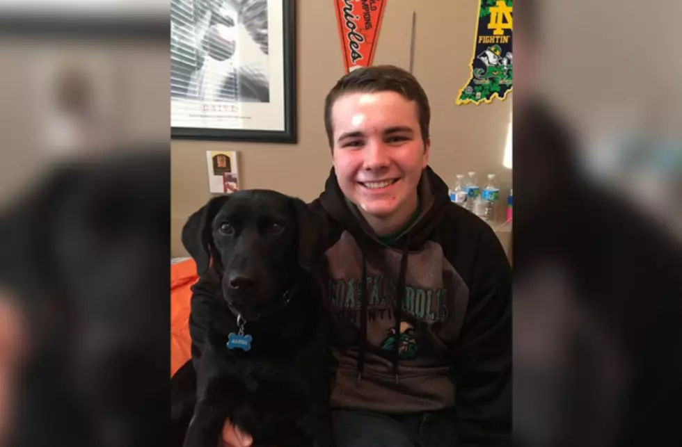 High School Student&#8217;s Service Dog Got Its Own Yearbook Photo