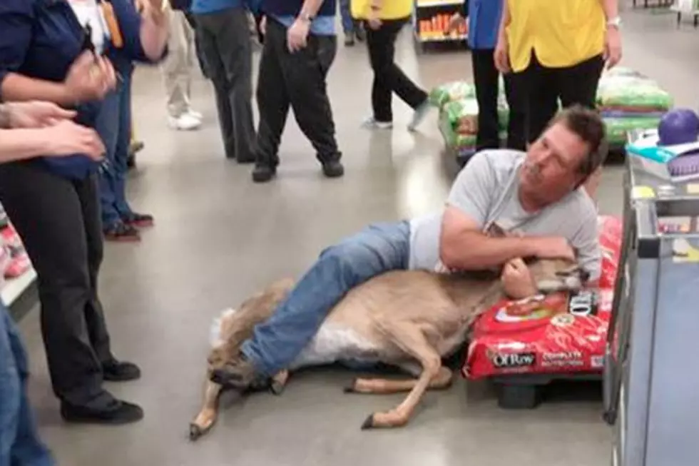 Walmart Shopper Puts Runaway Deer in a Headlock