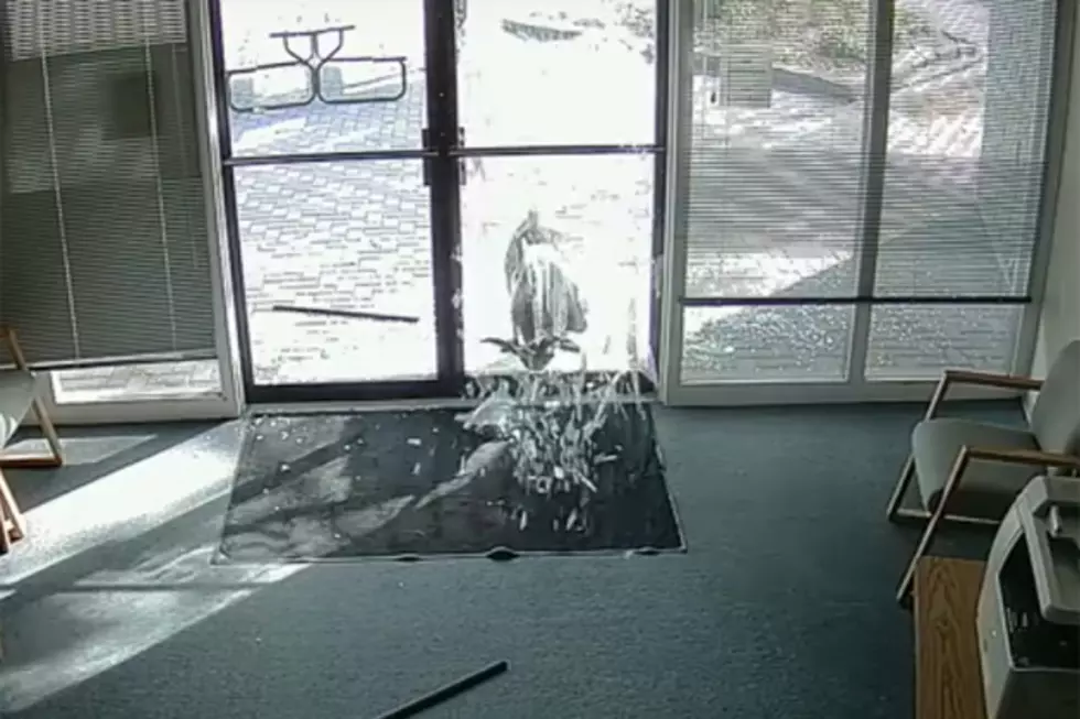 Goat Captured on Security Footage Ramming Glass Doors