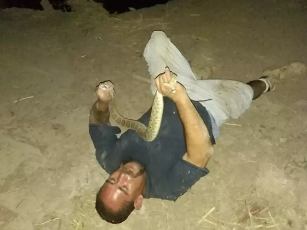 Arizona Man Tries to Cook Rattlesnake, Snake Bites Back
