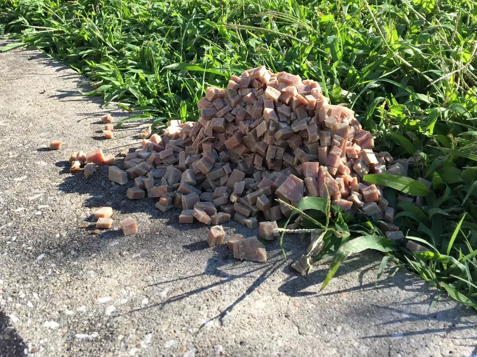Pile of Cubed Ham Brings Baltimore to a Halt