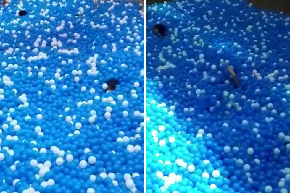 Mom Screams For Help As She Becomes Trapped in a Ball Pit
