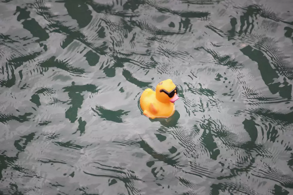 Your Kid&#8217;s Rubber Ducky is Probably Filled With Dangerous Bacteria