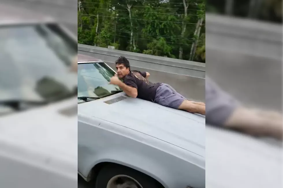 Florida Man Clings to the Hood of His Stolen Car on the Highway
