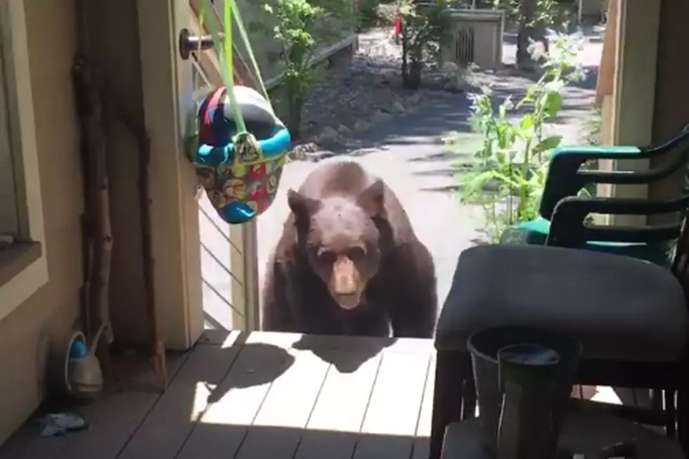 Woman Uses Her &#8220;Mom Voice&#8221; to Scare Off Bear