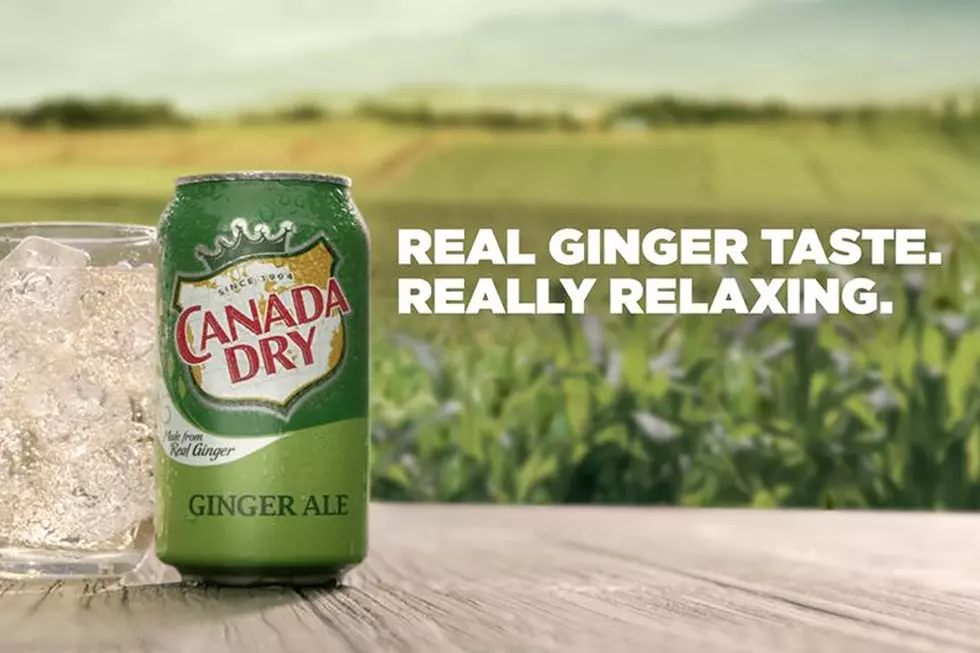 Woman Sues Canada Dry Over Amount of Ginger in Their Ginger Ale