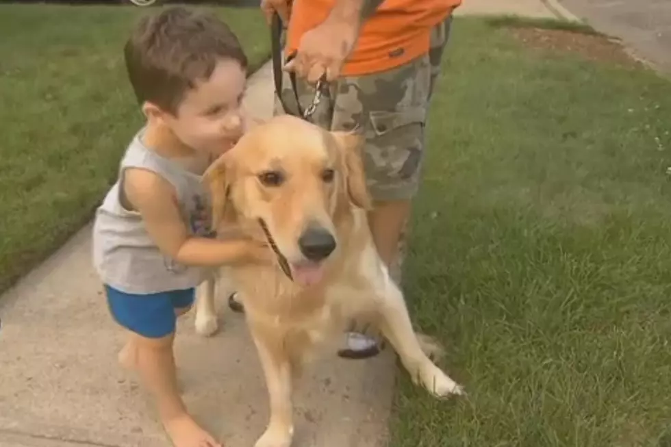 Pet Lending Company Threatens to Repossess Family’s Dog