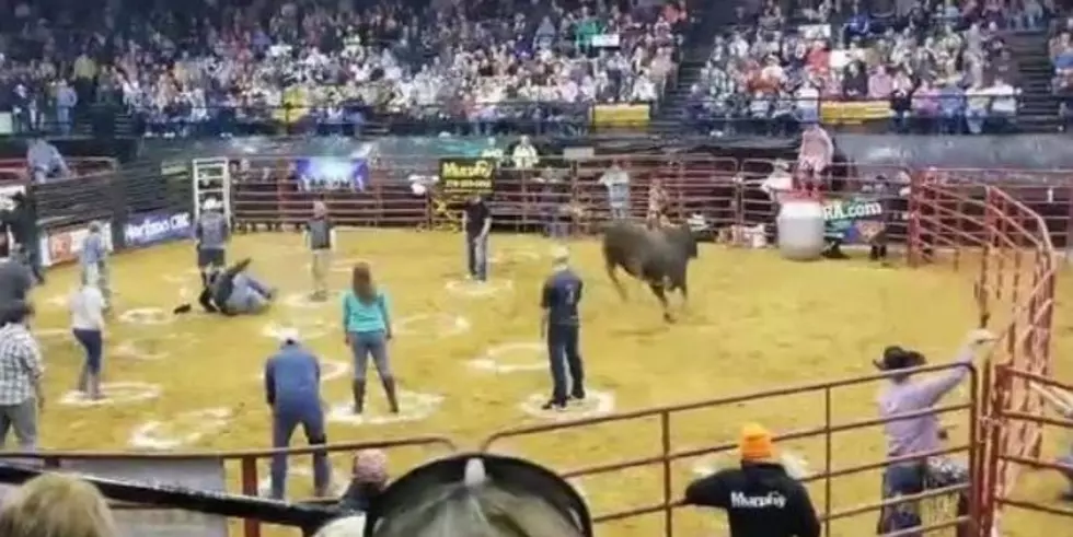 Bull Sends People Flying During a Game of “Cowboy Pinball”