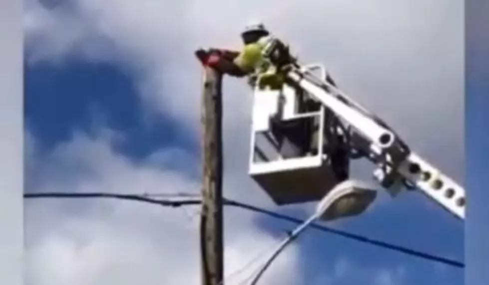 Verizon Employee Uses His Truck to Save a Cat from a Pole and Is Suspended