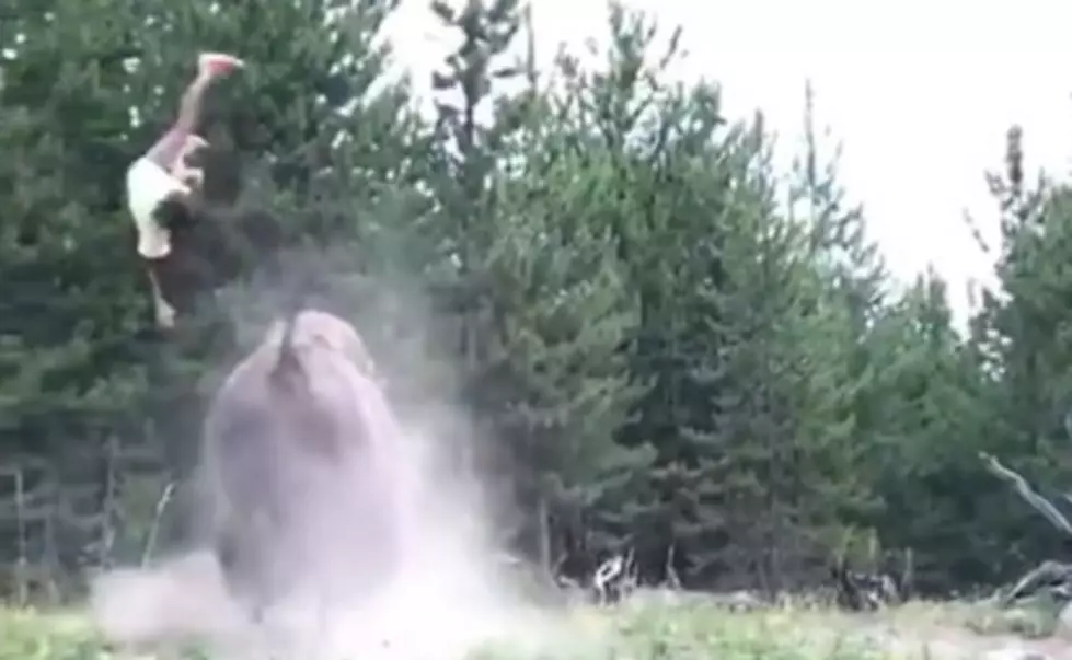 Bison Tosses 9-Year-Old Girl At Yellowstone Park