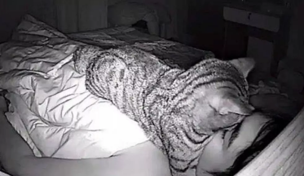 Man Sets Up a Camera to Figure Out Why He&#8217;s Having Trouble Breathing at Night