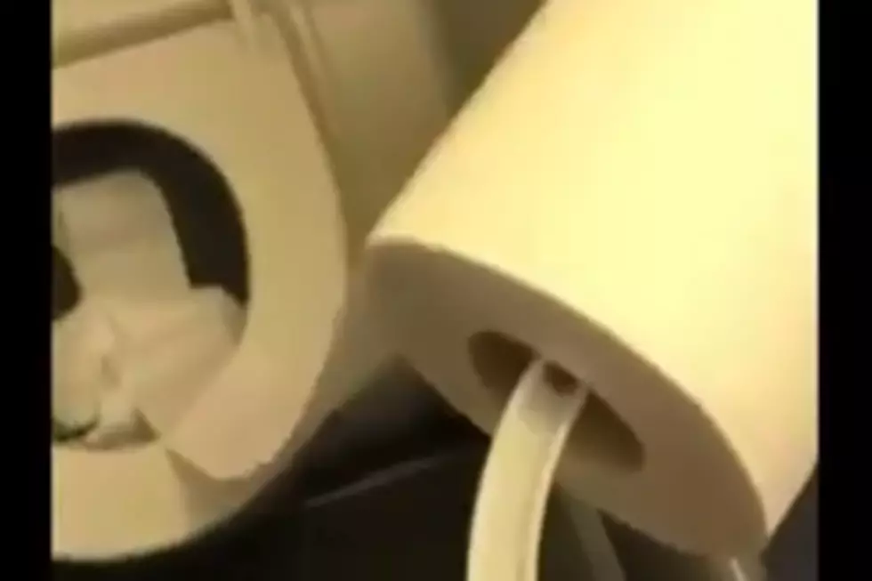 Airline Toilet Sucks Down a Roll of Toilet Paper in Seconds