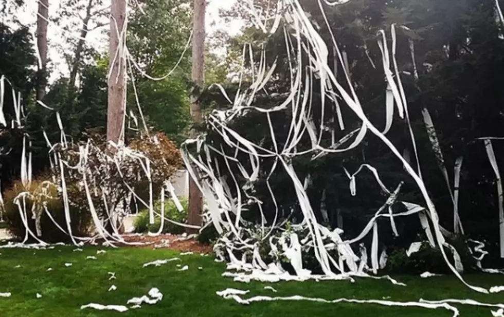 Police Say If You’re Going to Toilet Paper a House, Ask Permission First and Clean Up After