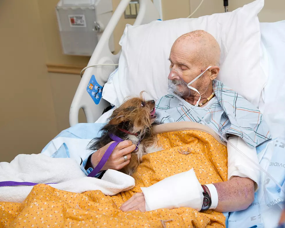 Veteran in Hospice Sees His Dog One Last Time