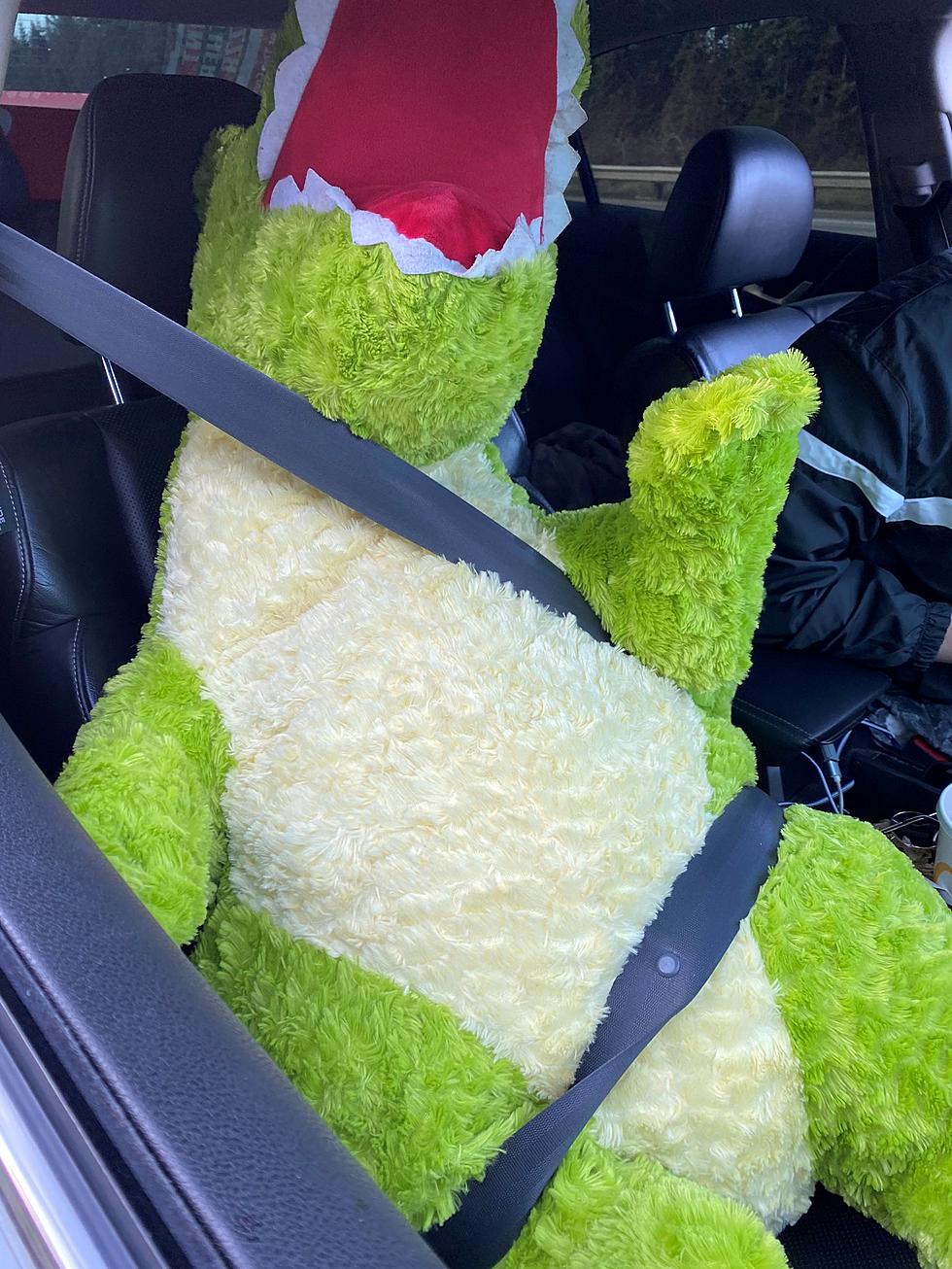 Man Busted Using Giant Stuffed Dino As Passenger in HOV Lane