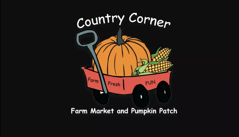 Country Corner Farm Market and Pumpkin Patch Goes Out Of Business