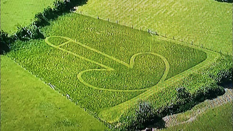 Police Find Giant Penis Drawing In Field While Searching For Suspect