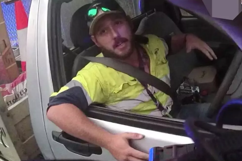 Guy Encounters One of the World’s Deadliest Snakes Has a Knife Fight With It While Driving