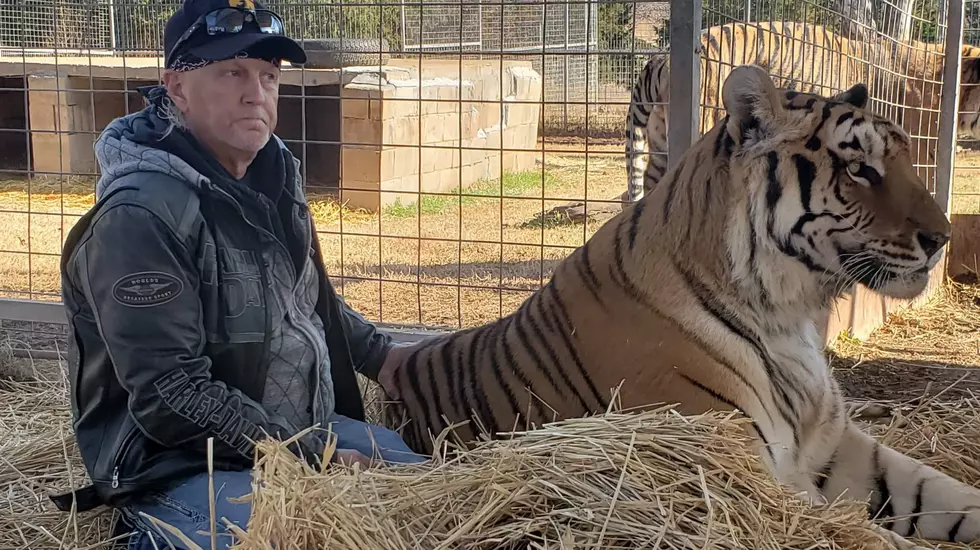 Feds Shut Down G.W. Zoo Featured in “Tiger King”